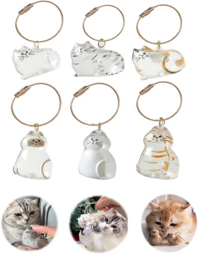 6 stuks kattenhaar sleutelhangers kattenhaar sleutelhanger kawaii opslag hangers kattenhanger kat gepersonaliseerde Keepsake huisdier haar herinneringsdoos voor het verzamelen van dierenharen