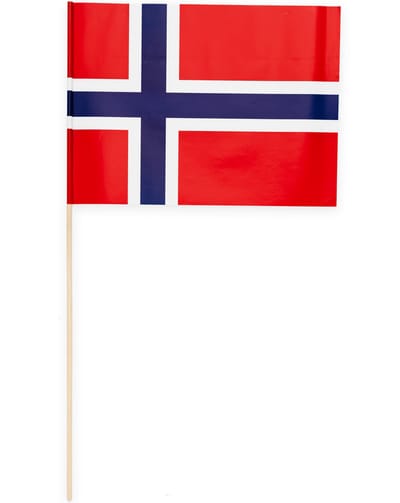 10 Papieren zwaai vlaggen 20 x 30 centimter Noorwegen