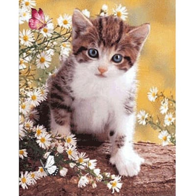 Peinture diamant ronde marguerite chat, broderie, point de croix, strass, mosaïque, décoration d'intérieur 20X30CM