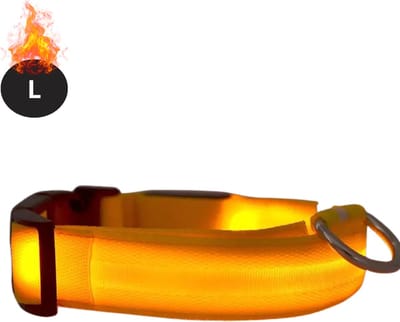 Bovista Lichtgevende Halsband - Verlichte Halsband - Lichtgevend - Hond - Kat - Lampje - Hondenhalsband Led - Oranje - L