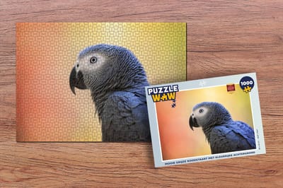 Puzzel Mooie grijze roodstaart met kleurrijke achtergrond - Legpuzzel - Puzzel 1000 stukjes volwassenen
