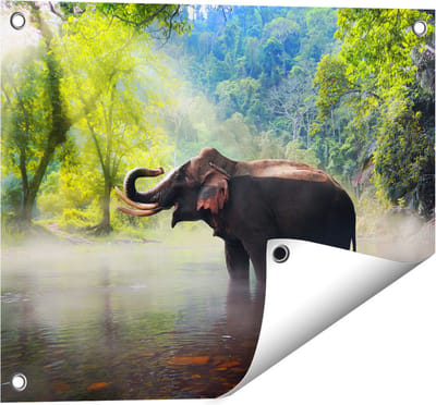 Gards Tuinposter Olifant in het Water - 50x40 cm - Tuindoek - Tuindecoratie - Wanddecoratie buiten - Tuinschilderij