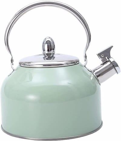 Waterketel RVS - Theeketel Fluitketel - Koffie en Thee - Luid Waarschuwing Fluitje - 2.5 Liter - Groen