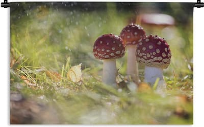 Wandkleed - Wanddoek - Kleine paddenstoelen in een veld - 150x100 cm - Wandtapijt