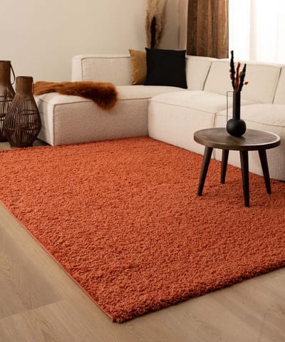 Hoogpolig vloerkleed - Shaggy Trend terracotta 120x170