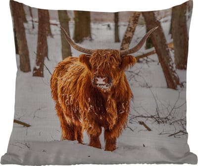 Sierkussen Buiten - Schotse Hooglander - Sneeuw - Winter - Natuur - Dieren - 60x60 cm - Weerbestendig
