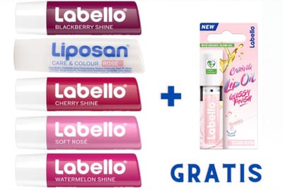 Labello Fruity Shine Lippenbalsem Collection 6 x 5.5 ml - Verzorgende Lipbalm Met Smaak - Voordeelverpakking