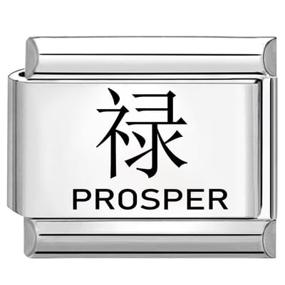 Quiges - Schakel - Bedel - 9mm - charms - Kleurrijk - Prosper in het Chinees - Geschikt voor - armband - Schakelarmband - italy bedels armband