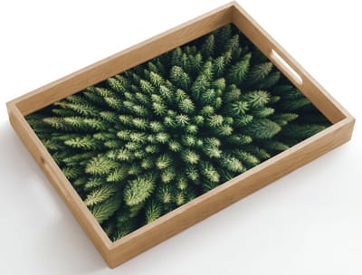Dienblad hout 50x35 cm - Schootdienblad - Bomen - Naaldwoud - Structuur - Borrelplank rechthoek - Plateau dienbladen