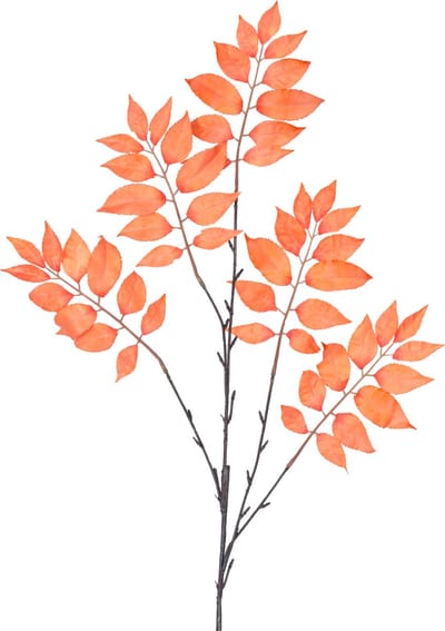 Easyplants | Kunsttak Varen vertakt 83 cm oranje | Zijde | Nepbloemen | oranje | Onderhoudsvrij | Kant-en-klaar