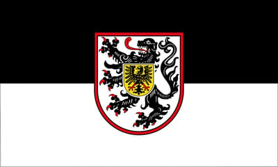 Vlag Landau in de Pfalz 100x150cm