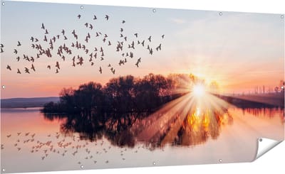 Gards Tuinposter Groep Vogels Boven de Meer met Zonsondergang - 200x100 cm - Tuindoek - Tuindecoratie - Wanddecoratie buiten - Tuinschilderij