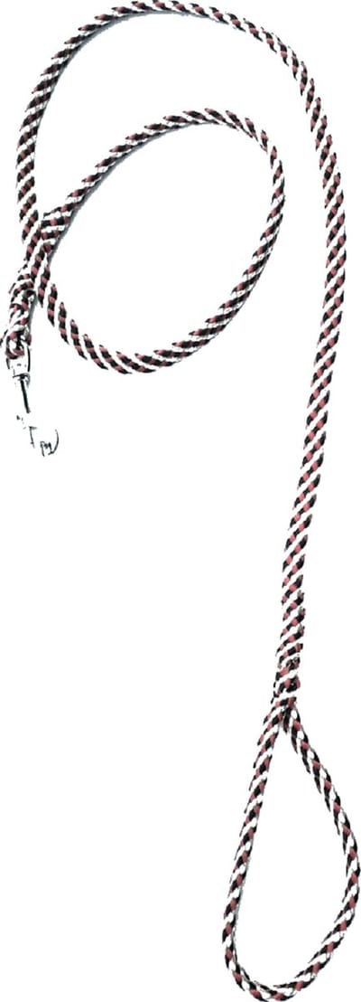 Abany quality design – paars - leiband met musketon - haak - soepele lichte hondenlijn - looplijn - speurlijn - uitlaatlijn – lijn voor hondentuigje – hondenriem - 180 cm – 7r21006 - paars