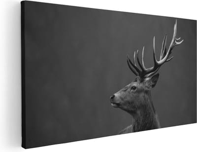Artaza Canvas Schilderij Hert - 40x20 cm - Klein - Wanddecoratie Hertenkop - Muurdecoratie Gewei - Schilderijen Op Canvas Dieren