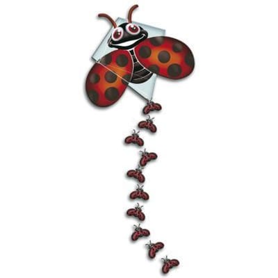 Rhombus Pop-Up Lady Bug 70x59cm 1 lijns vlieger Vliegers