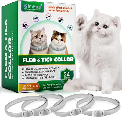 Oimmal Halsband Kat 4 stuks – Kattenhalsband Natuurlijk – Waterbestendig – Verstelbaar – Geschikt voor Alle Kattenrassen – Grijs