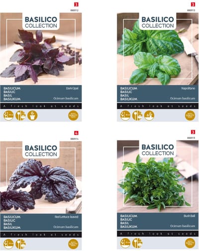 Kruidenzaden voor Basilicum set van 4 soorten | Basilicum Dark Opal | Basilicum Napolitano | Basilicum Rode slaladige |Basilicum Greek Basil Bush Ball