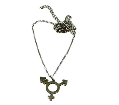 GoedeDoelen.Shop | Ketting Trans Pride Silver | RVS Ketting Zilverkleur | Transgender Symbool | Kettinglengte 45+5 CM | Transgender Sieraad | Trans | Statement Ketting | Pride | Transgender | Unisex | Respect | Love Is Love | Wellness-House