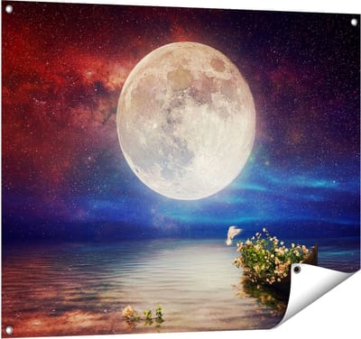 Gards Tuinposter Volle Maan in de Hemel boven het Water - 100x80 cm - Tuindoek - Tuindecoratie - Wanddecoratie buiten - Tuinschilderij