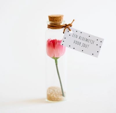 Een bloemetje voor jou! In een miniglaasje, circa 6 cm hoog. Dit lieve bloemetje wat voor altijd bewaard kan blijven is een bijzonder cadeautje voor elke gelegenheid. Een speciaal geschenk wat het hele jaar door gegeven kan worden.