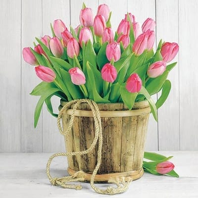 Lunch Servetten Tulips In Bucket - Ambiente - 33x33 cm