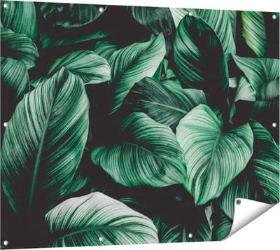 Gards Tuinposter Tropische Groene Bladeren - 120x90 cm - Tuindoek - Tuindecoratie - Wanddecoratie buiten - Tuinschilderij