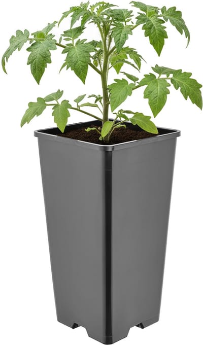Garronda Hoge vierkante kunststof bloempot met drainagegaten voor tuin (Zwart, 11 x 11 x 21,5 cm (2L)) GD-KW-HS