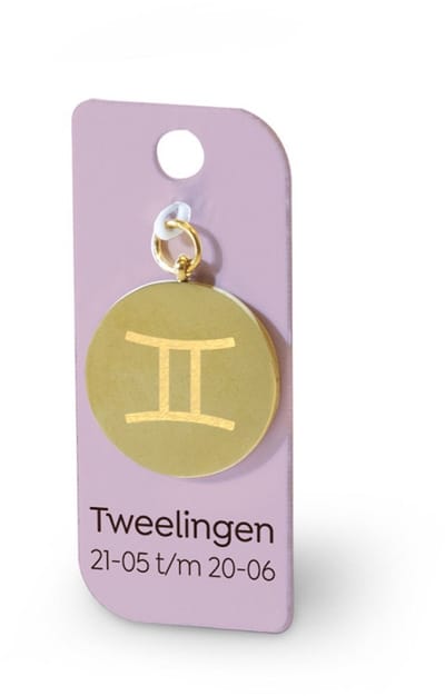 Gouden Charm - Tweelingen