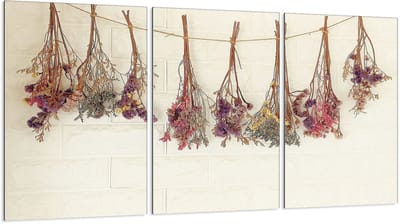 TMK ArtDeko Serie - Glazen Beschermplaat - 3x30x52 cm - Hittebestendig - Antibacterieel