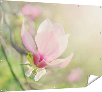 Gards Tuinposter Roze Magnolia Bloem - 160x120 cm - Tuindoek - Tuindecoratie - Wanddecoratie buiten - Tuinschilderij
