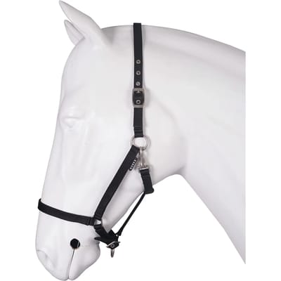 Halsband voor paard basis HORKA