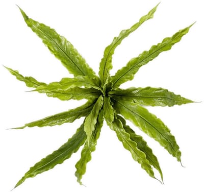 Fern asplenium bush x15 30 cm kunstbloem zijde nepbloem Emerald