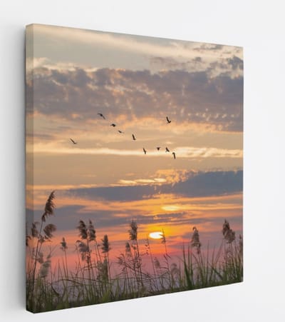 Saammp Canvas Schilderij - Nederland Tijdens zonsondergang - Zonsondergang - Landschap - Natuur - 20x20 - Foto op canvas - Wanddecoratie - Muurdecoratie Woonkamer - Slaapkamer decoratie - Canvas Print