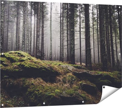 Gards Tuinposter Bos met Mos op Rotsen - 120x90 cm - Tuindoek - Tuindecoratie - Wanddecoratie buiten - Tuinschilderij