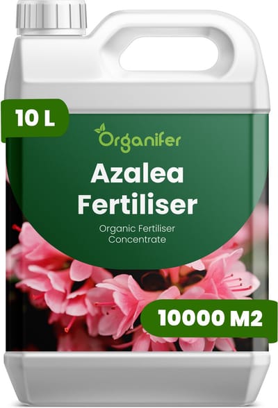 Vloeibare Meststof Voor Azalea 10 L Voor 10000 M2 - Npk 3-4-3 - Rijke Bloei - Levendige Bloemen - Sterk Wortelstelsel - Zure Substraten - Knopvorming - Seizoensbloei - Stressbestendig - Rhododendron - Groenblijvend - Bladverliezend - Organifer