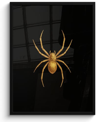Poster in lijst - Fotolijst 50x70 cm - Posters - Spin - Goud - Minimalistisch - Poten - Posterlijst zwart - Decoratie - Wanddecoratie woonkamer - Muurdecoratie slaapkamer