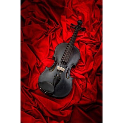 DIY 5D Point de Croix Violon Noir Peinture Diamant Mosaïque Diamant Brodé 20X30CM red