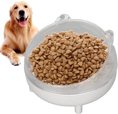 Dailygoods- Hondenkom Verhoogd - Gekanteld Ontwerp - Antislip - Gemakkelijk te Reinigen - Voor Kleine Honden/Katten - Vermindert Nekstress - Voederkom