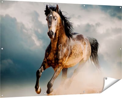Gards Tuinposter Wilde Paard in het Zand - 150x100 cm - Tuindoek - Tuindecoratie - Wanddecoratie buiten - Tuinschilderij