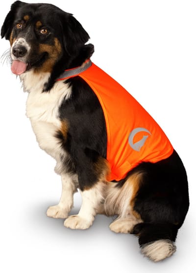 Nightwalk Safety Vest - Veiligheidsvest hond - Ruglengte 45 cm - Hondenvest - Veiligheidshesje Hond - Fluo Hond - Reflecterend veiligheidshesje - Maat L - Oranje