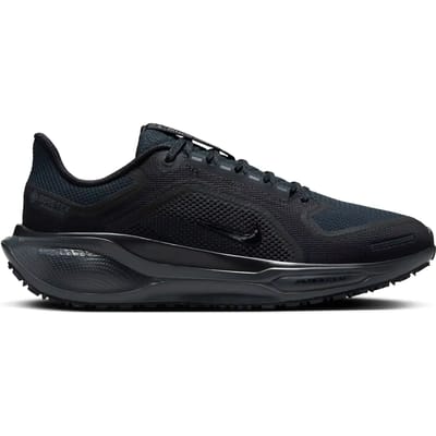 Hardloopschoenen voor dames Nike Pegasus 41 GORE-TEX