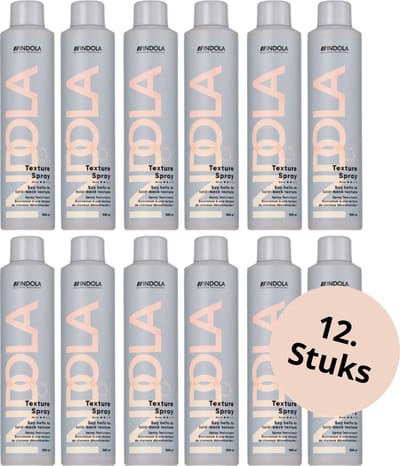 Indola Texture Dry Texture Spray - 12x300ml