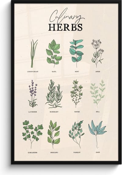 Fotolijst inclusief poster - Posterlijst 80x120 cm - Posters - Kruiden - Planten - Herbs - Groen - Vintage - Foto in lijst - Keuken decoratie muur - Wanddecoratie accessoires - Muurdecoratie - Schilderijen