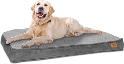 ib style Happy Dreams Hondenbed - Hondenmand - Hondenkussens - 100x68 cm - Grijs