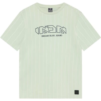 Indian Blue Jeans Loose Fit T-shirt Pinstripe Polo's & T-shirts Jongens - Polo shirt - Mint - Maat 152