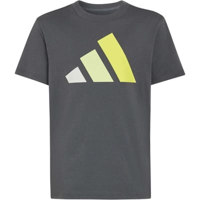 Adidas Essentials T-shirt Met Korte Mouwen Grijs 9-10 Years Kinderen