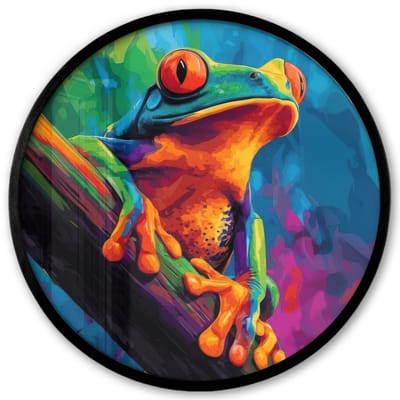 Poster in lijst Rond - Fotolijst 40x40 cm - Posters - Kikker - Felgekleurd - Tak - Regenboog - Ronde posterlijst zwart - Decoratie - Wanddecoratie woonkamer - Muurdecoratie slaapkamer