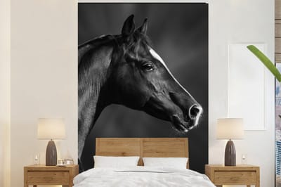 Behang - Fotobehang Paard - Dieren - Zwart - Wit - Portret - Breedte 145 cm x hoogte 220 cm