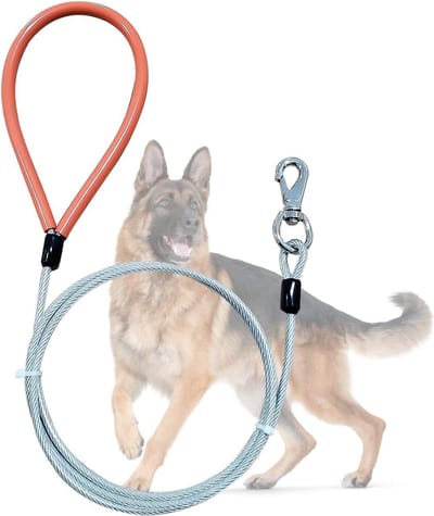 Kauwbestendige hondenriem voor middelgrote en grote honden - zachte gevoerde handgreep - gecoate staalkabel - tot 113 kg - transparant