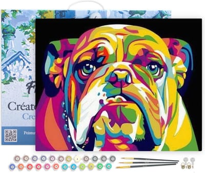Figured'Art Schilderen op Nummer Volwassenen met lijst - Bulldog popart - Handwerk acrylverf Kit DIY Compleet - 40x50cm Canvas al ingelijst